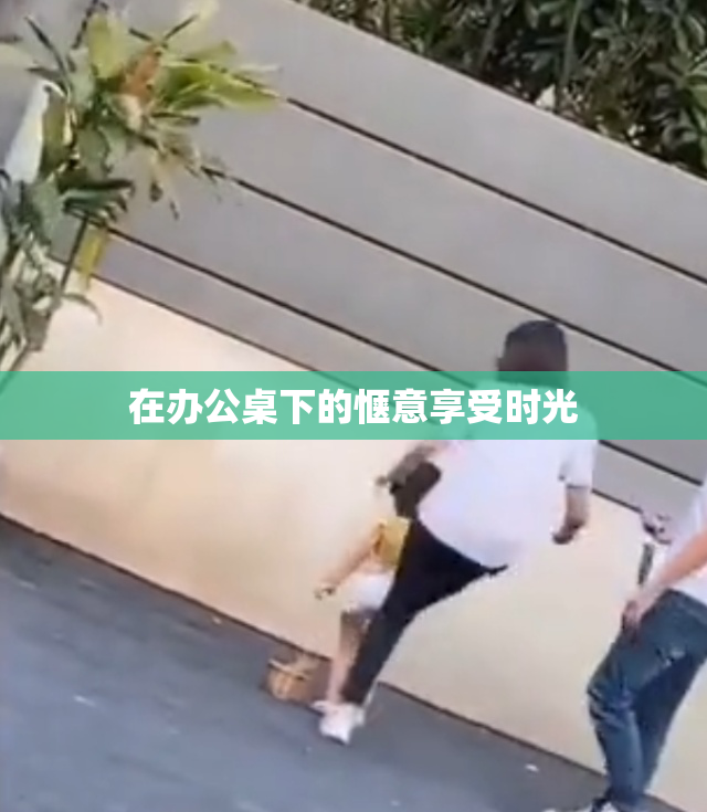 在办公桌下的惬意享受时光