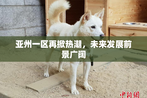 亚州一区再掀热潮，未来发展前景广阔