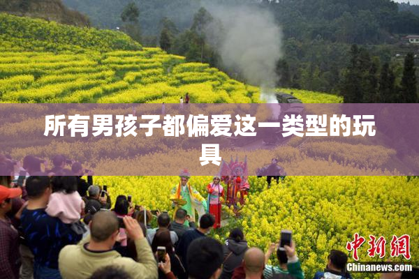 所有男孩子都偏爱这一类型的玩具