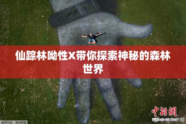 仙踪林呦性X带你探索神秘的森林世界
