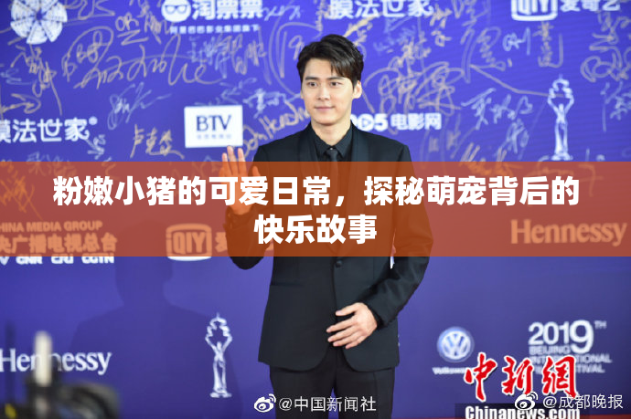 粉嫩小猪的可爱日常，探秘萌宠背后的快乐故事