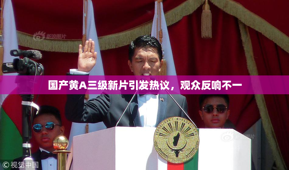 国产黄A三级新片引发热议，观众反响不一