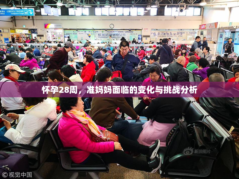 怀孕28周，准妈妈面临的变化与挑战分析