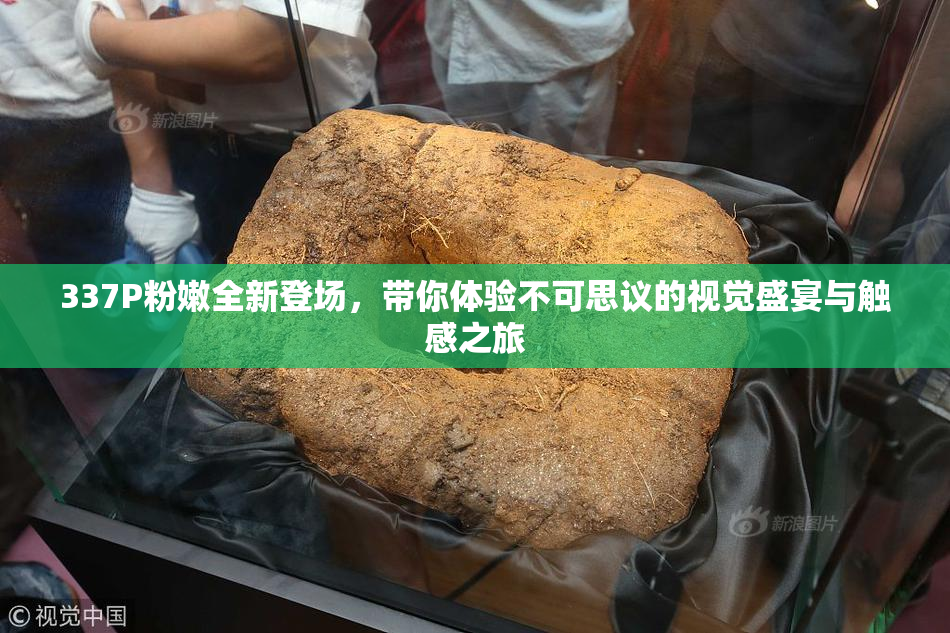 337P粉嫩全新登场，带你体验不可思议的视觉盛宴与触感之旅