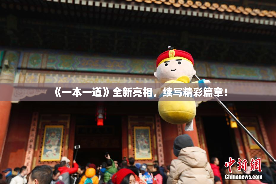 《一本一道》全新亮相，续写精彩篇章！