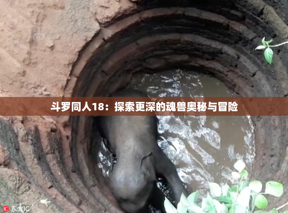 斗罗同人18：探索更深的魂兽奥秘与冒险