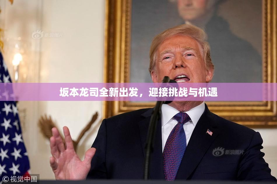 坂本龙司全新出发，迎接挑战与机遇