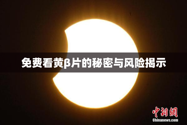 免费看黄β片的秘密与风险揭示
