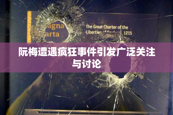 阮梅遭遇疯狂事件引发广泛关注与讨论