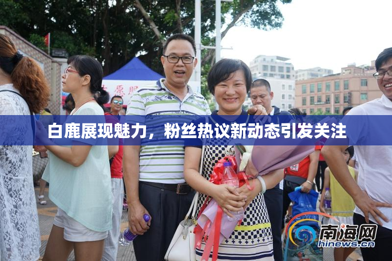 白鹿展现魅力，粉丝热议新动态引发关注