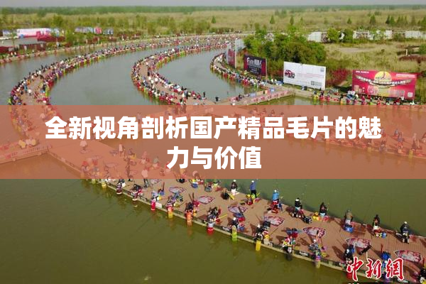 全新视角剖析国产精品毛片的魅力与价值