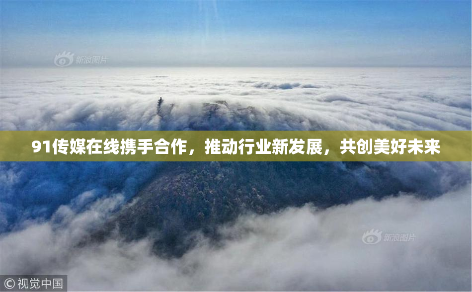 91传媒在线携手合作，推动行业新发展，共创美好未来