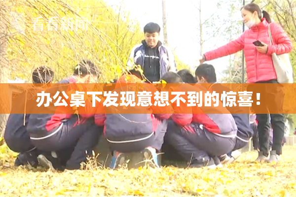 办公桌下发现意想不到的惊喜！