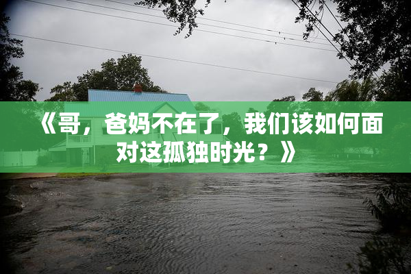《哥，爸妈不在了，我们该如何面对这孤独时光？》