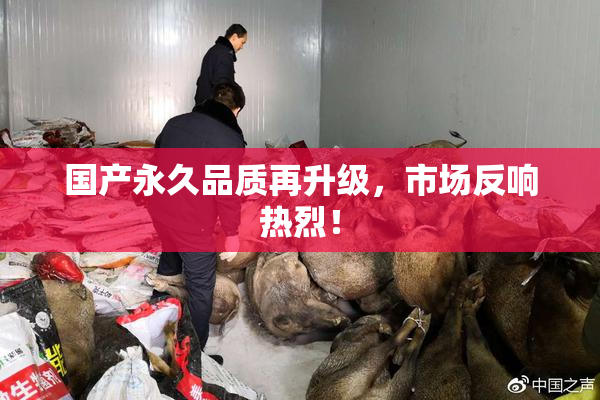 国产永久品质再升级，市场反响热烈！
