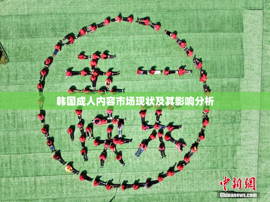 韩国成人内容市场现状及其影响分析
