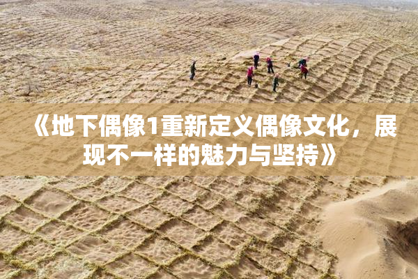 《地下偶像1重新定义偶像文化，展现不一样的魅力与坚持》