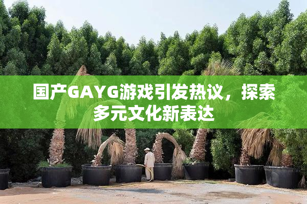国产GAYG游戏引发热议，探索多元文化新表达