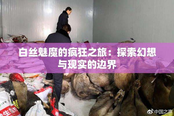 白丝魅魔的疯狂之旅：探索幻想与现实的边界