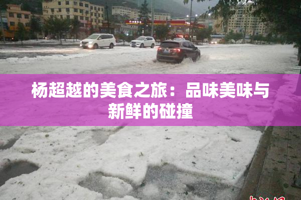 杨超越的美食之旅：品味美味与新鲜的碰撞