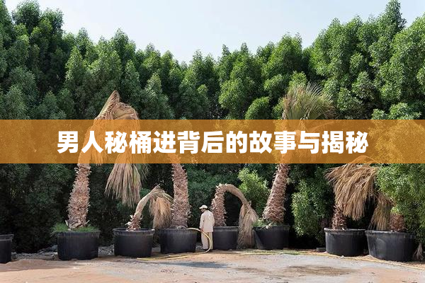 男人秘桶进背后的故事与揭秘