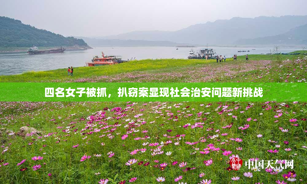 四名女子被抓，扒窃案显现社会治安问题新挑战