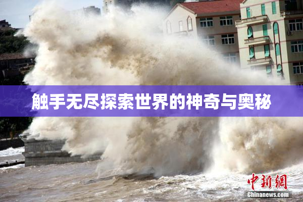 触手无尽探索世界的神奇与奥秘