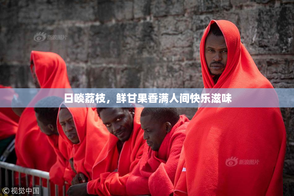 日啖荔枝，鲜甘果香满人间快乐滋味