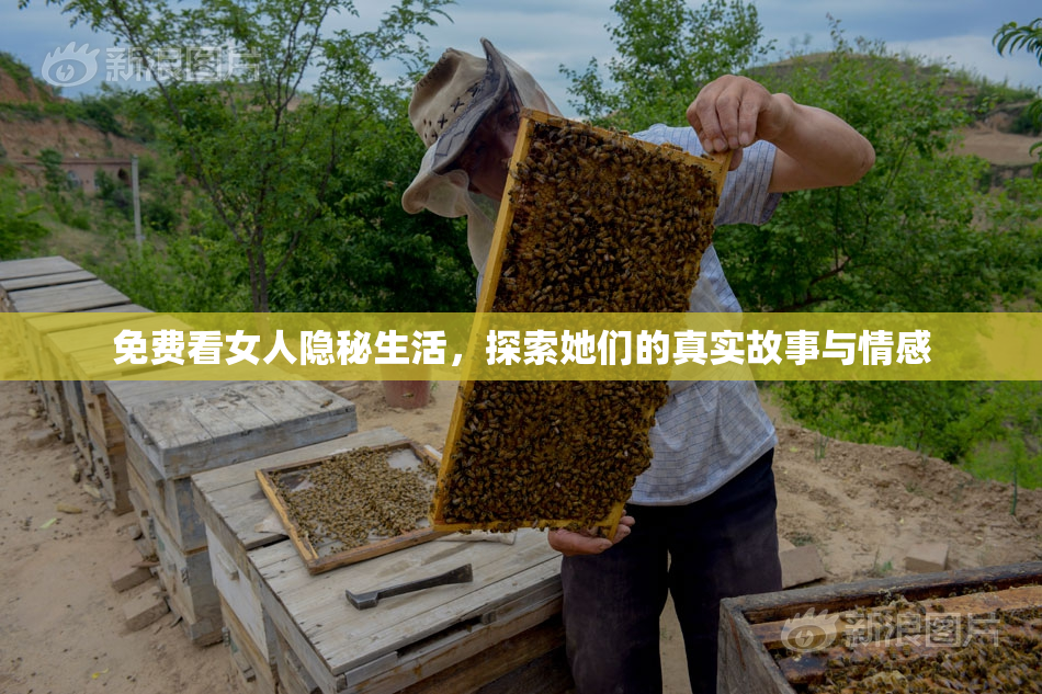 免费看女人隐秘生活，探索她们的真实故事与情感