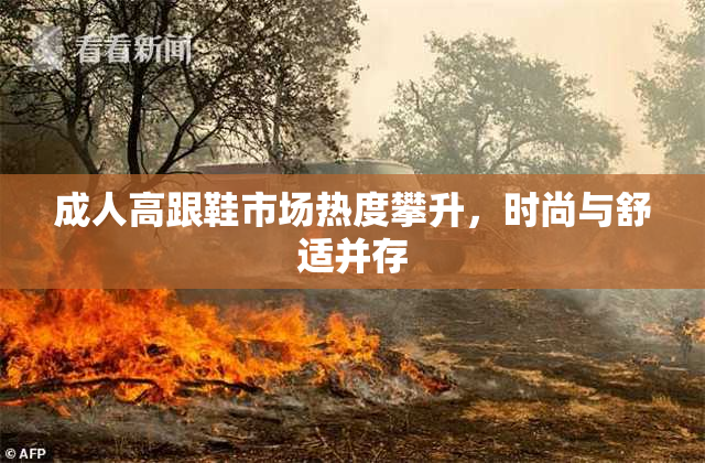 成人高跟鞋市场热度攀升，时尚与舒适并存
