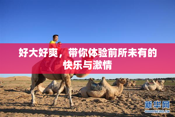 好大好爽，带你体验前所未有的快乐与激情