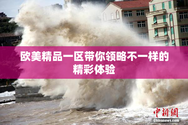 欧美精品一区带你领略不一样的精彩体验