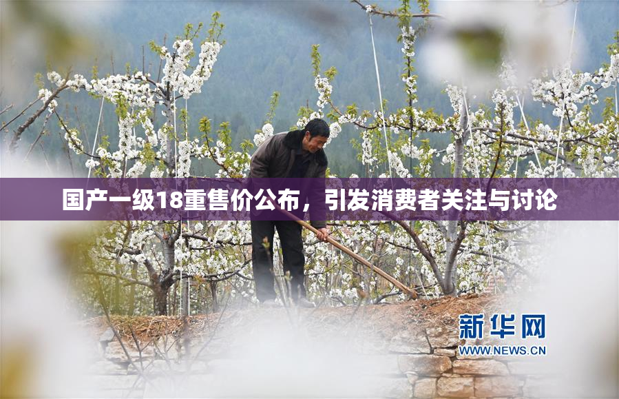 国产一级18重售价公布，引发消费者关注与讨论