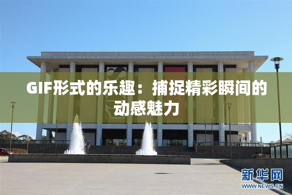 GIF形式的乐趣：捕捉精彩瞬间的动感魅力