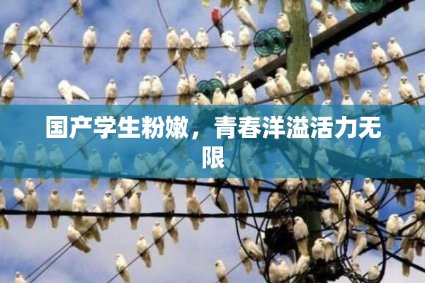 国产学生粉嫩，青春洋溢活力无限