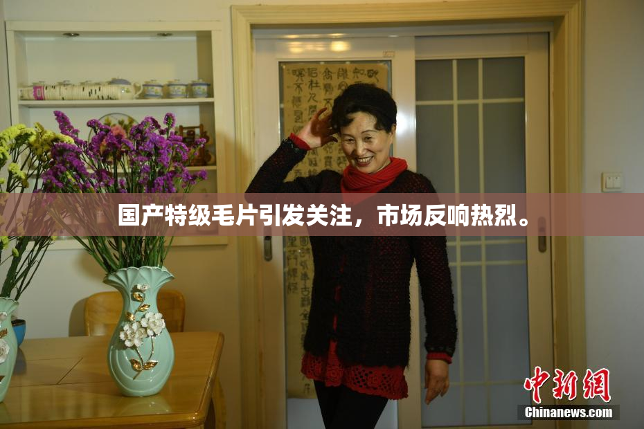 国产特级毛片引发关注，市场反响热烈。