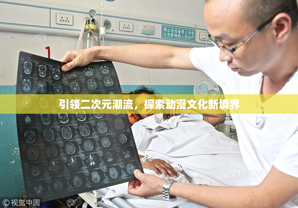 引领二次元潮流，探索动漫文化新境界