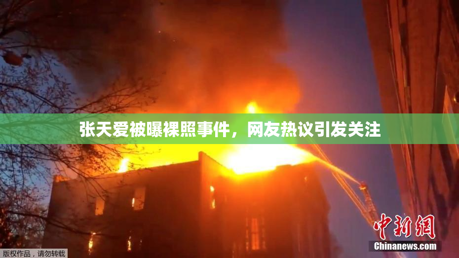 张天爱被曝裸照事件，网友热议引发关注