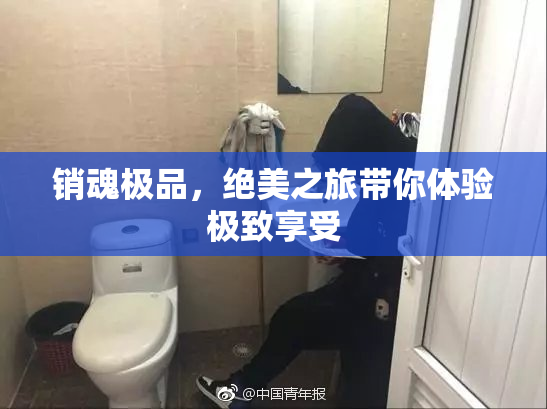 销魂极品，绝美之旅带你体验极致享受