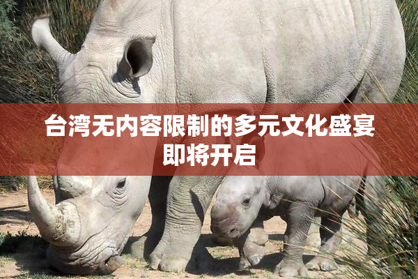 台湾无内容限制的多元文化盛宴即将开启