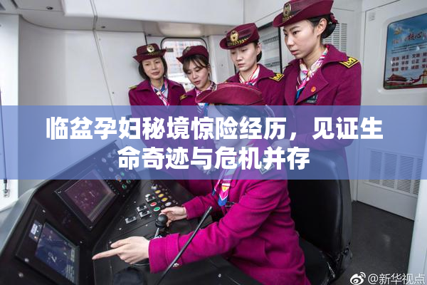 临盆孕妇秘境惊险经历，见证生命奇迹与危机并存
