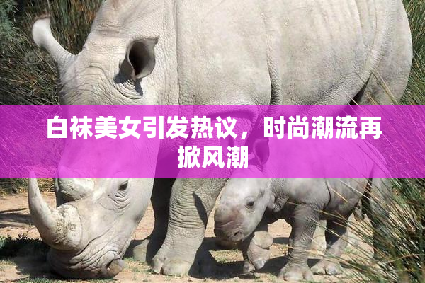 白袜美女引发热议，时尚潮流再掀风潮