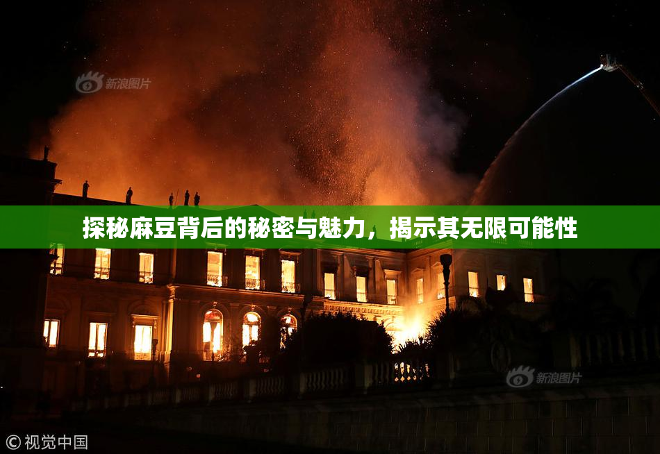 探秘麻豆背后的秘密与魅力，揭示其无限可能性