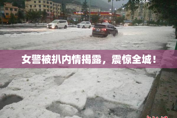 女警被扒内情揭露，震惊全城！