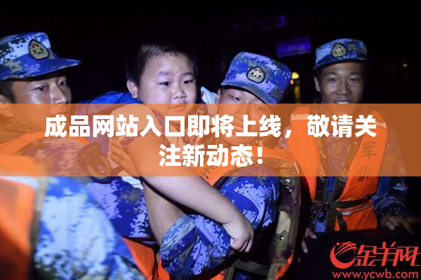 成品网站入口即将上线，敬请关注新动态！