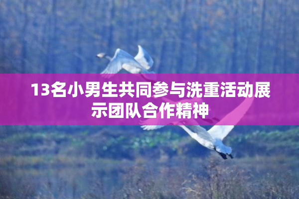13名小男生共同参与洗重活动展示团队合作精神