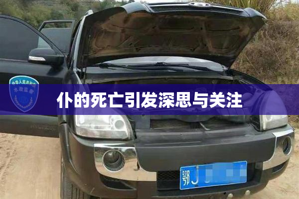 仆的死亡引发深思与关注