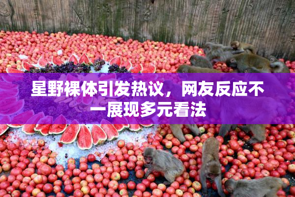 星野裸体引发热议，网友反应不一展现多元看法