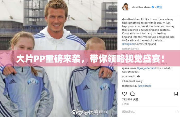 大片PP重磅来袭，带你领略视觉盛宴！
