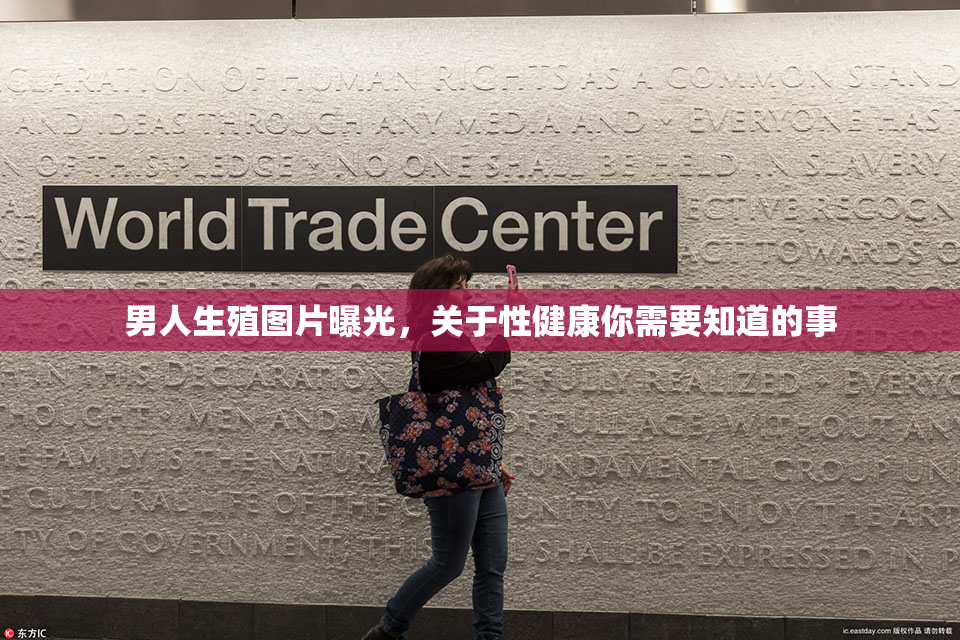 男人生殖图片曝光，关于性健康你需要知道的事